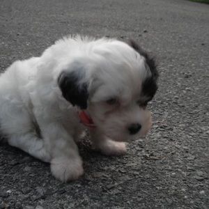 Meet your Posher, Mei